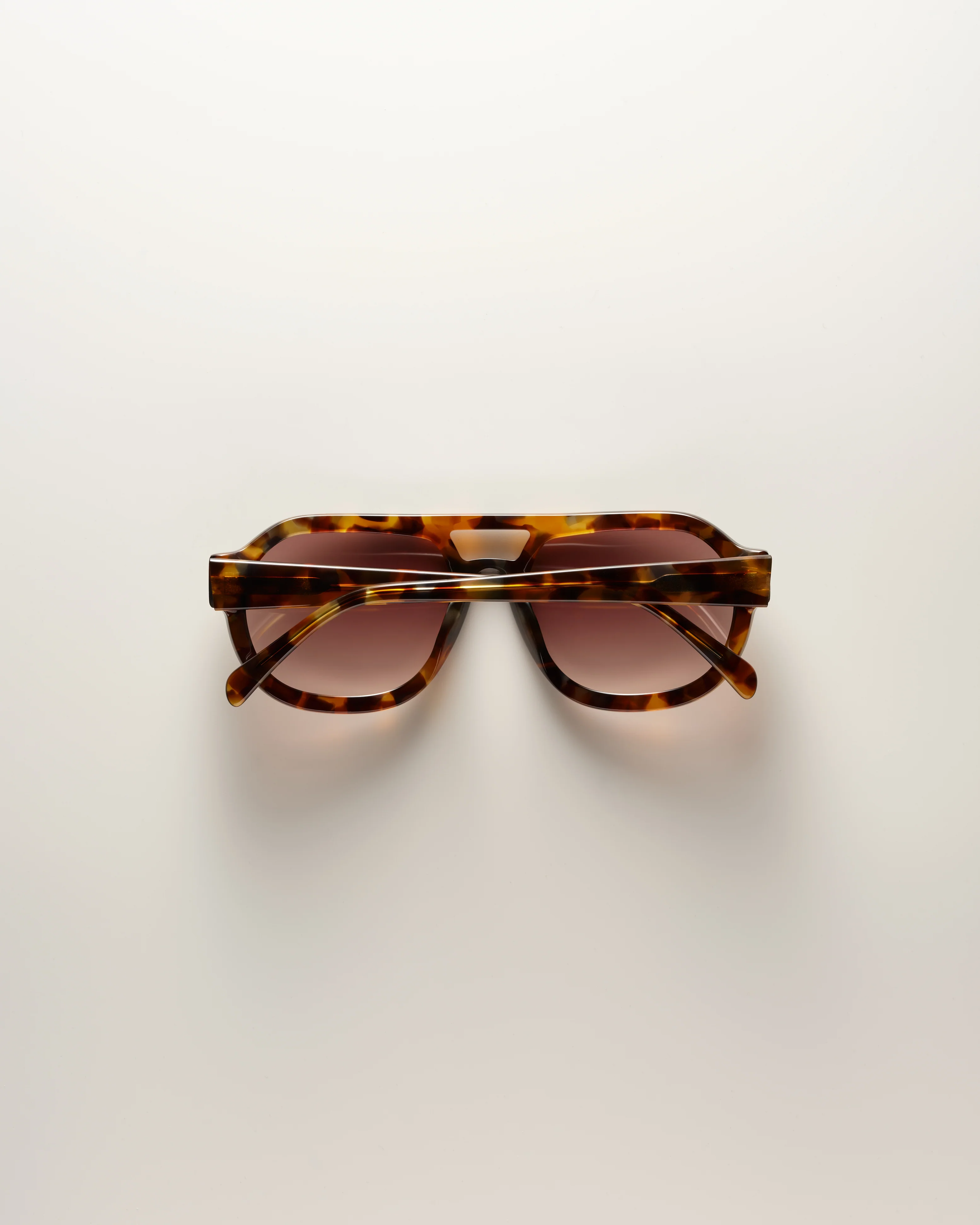 Phoenix - Tort/Mocha - Image 3